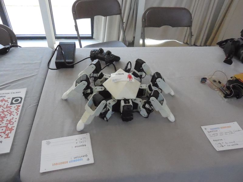 Hexapod